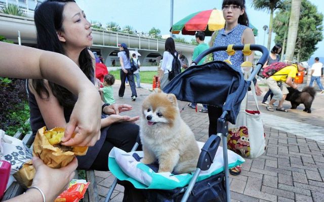 Morning Picdump
