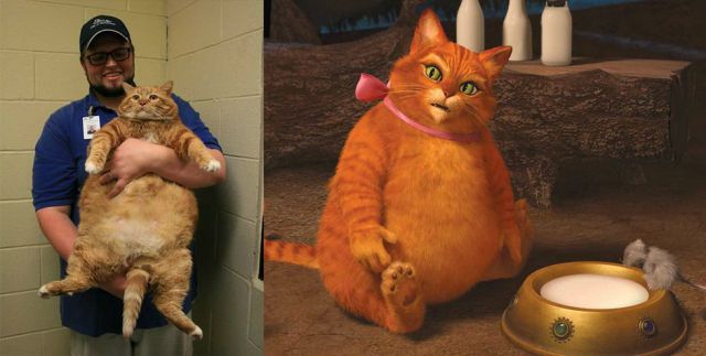 Morning Picdump
