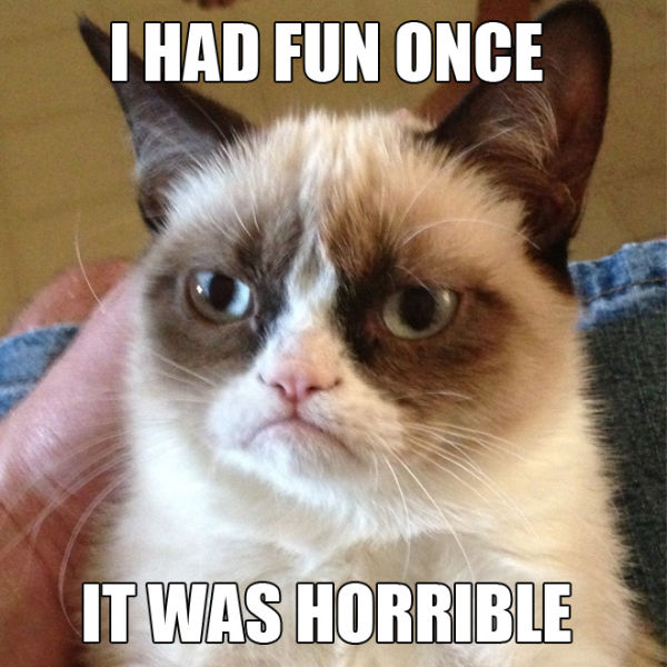 Funny "Grumpy Cat" Meme Selection