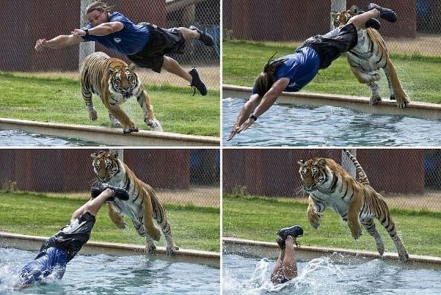Morning Picdump