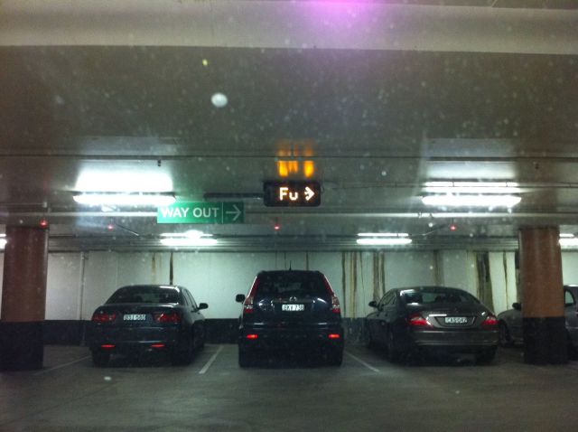 Morning Picdump