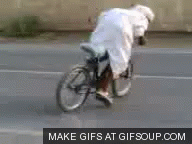 Friday Gifdump
