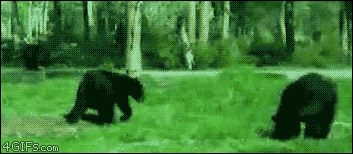 Friday Gifdump