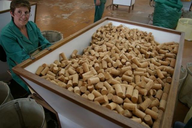 How They Make Cork