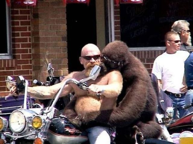 Morning Picdump