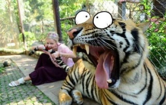 Morning Picdump