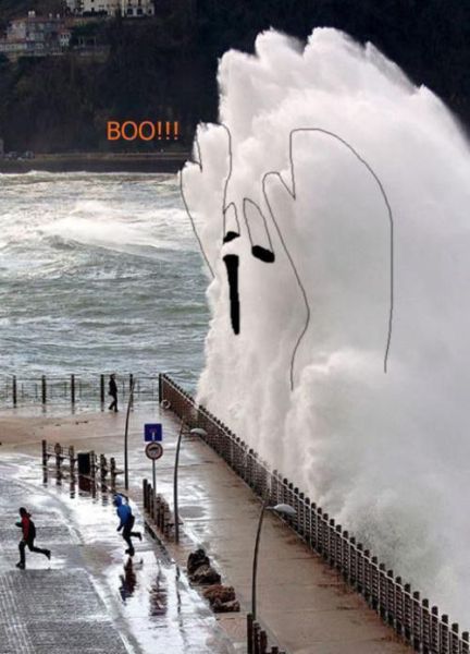 Morning Picdump