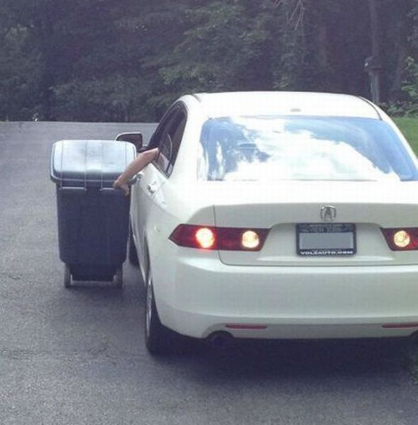 Daily Picdump