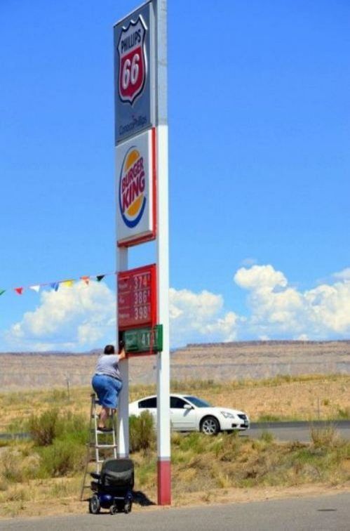 Daily Picdump