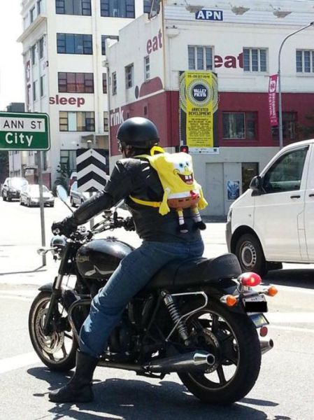 Morning Picdump