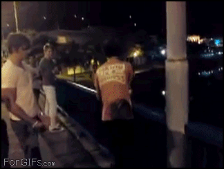 Daily Gifdump