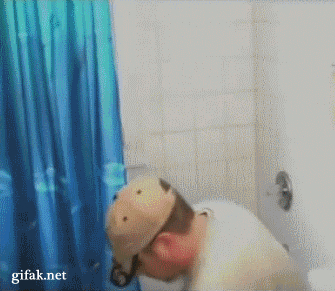 Daily Gifdump