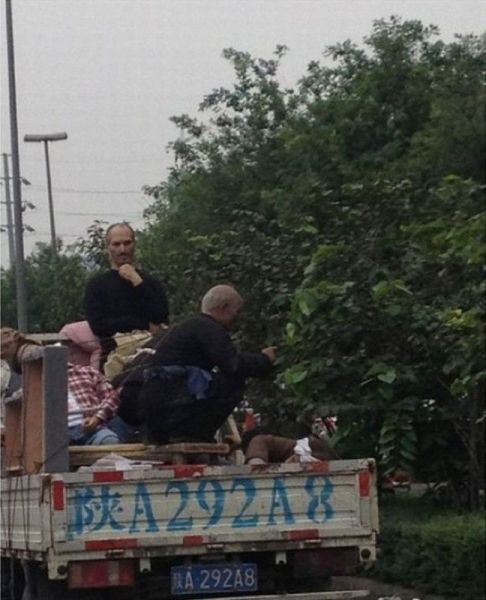 Daily Picdump