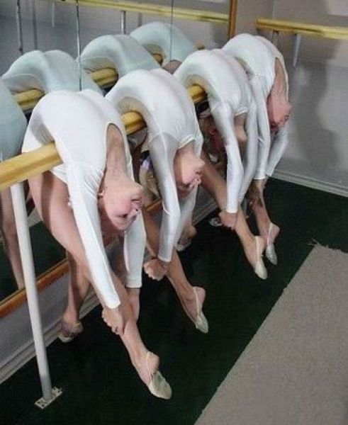 Do They Have Bones?
