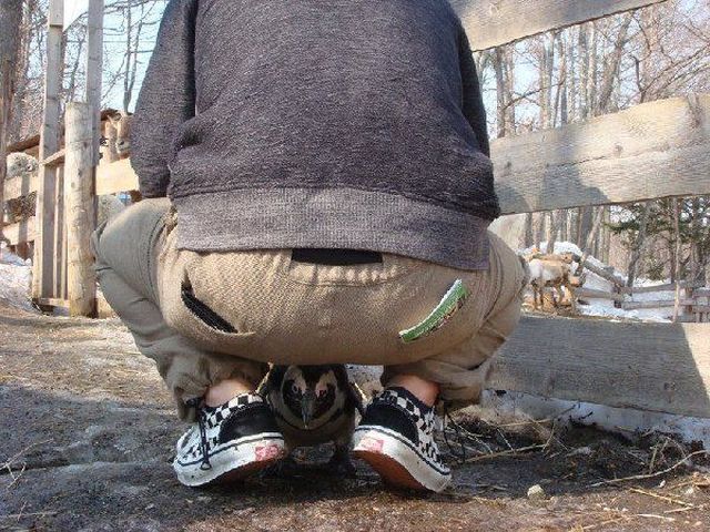 Morning Picdump
