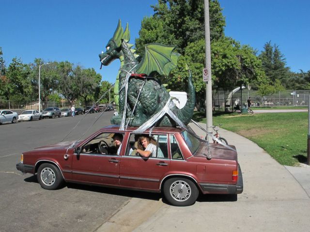 Morning Picdump