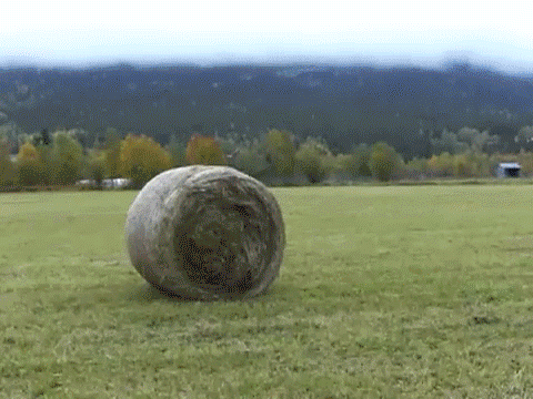 Friday Gifdump