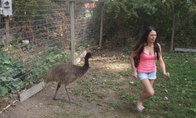 Morning Picdump
