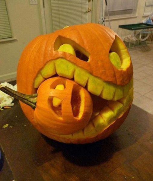 Daily Picdump [WEEKEND EDITION]
