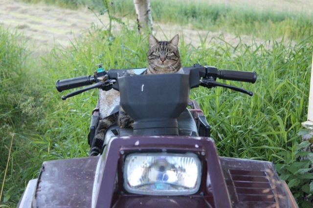 Daily Picdump [WEEKEND EDITION]