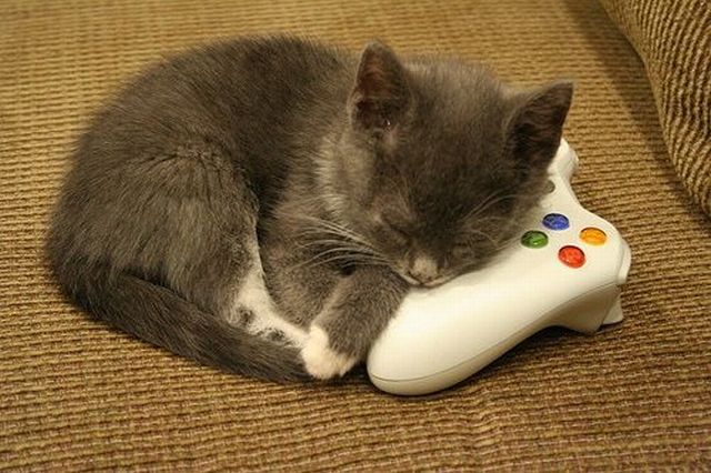 Daily Picdump [WEEKEND EDITION]