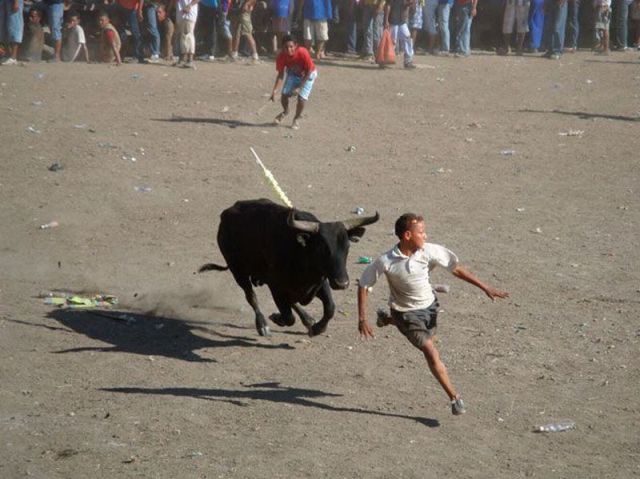 Daily Picdump [WEEKEND EDITION]