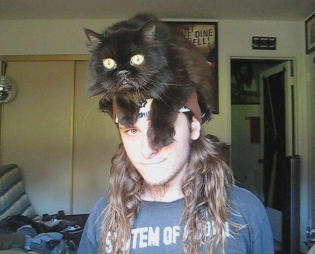 Daily Picdump