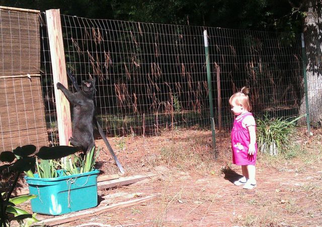 Daily Picdump