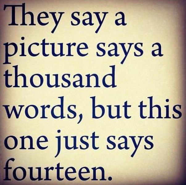 Morning Picdump