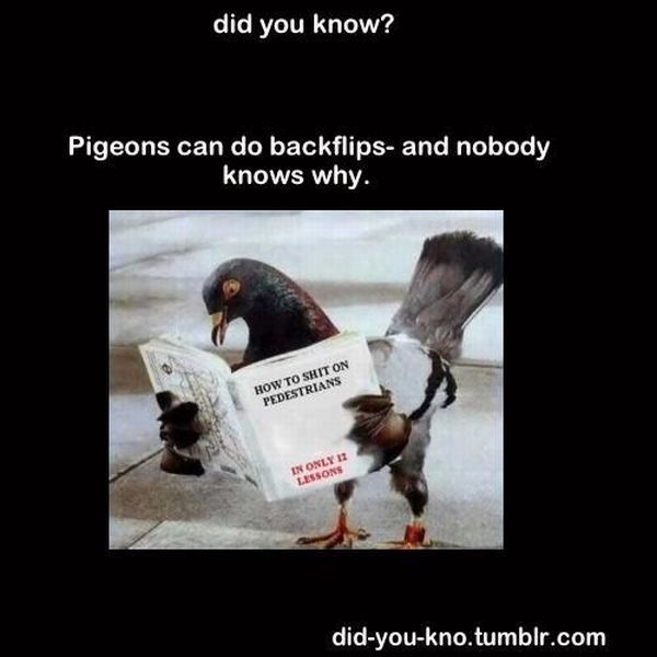 Morning Picdump