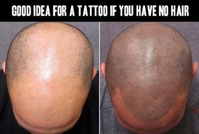 Morning Picdump
