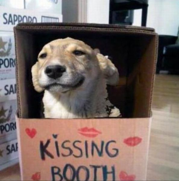 Morning Picdump