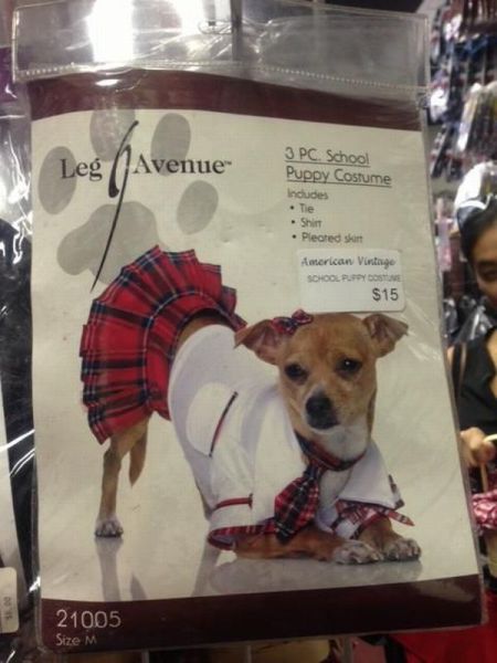Morning Picdump