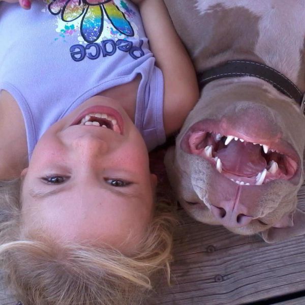 Daily Picdump