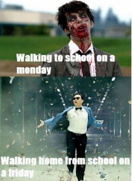 Daily Picdump