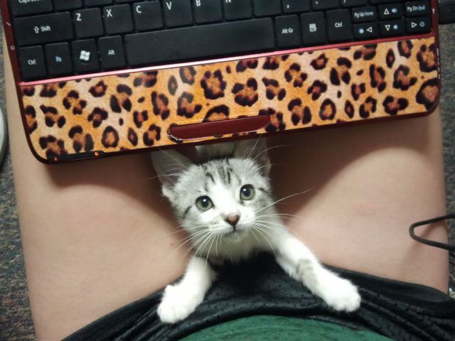 Daily Picdump