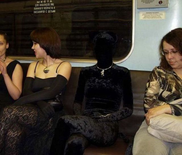 Daily Picdump