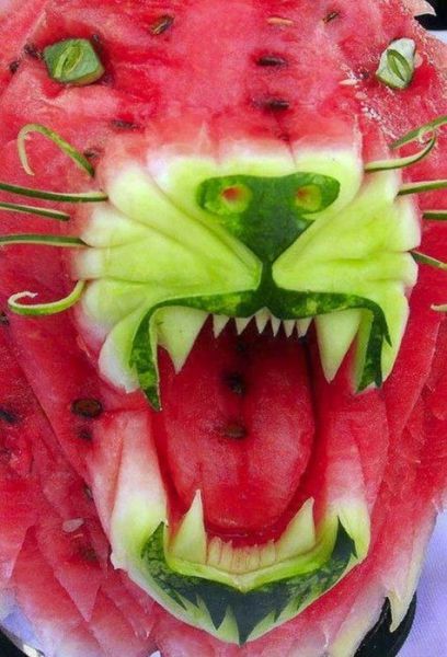 Daily Picdump