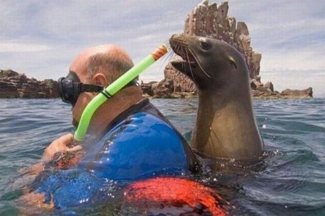 Morning Picdump