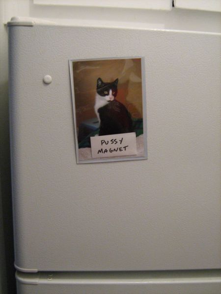 Morning Picdump
