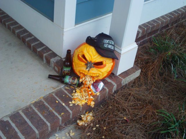 Morning Picdump