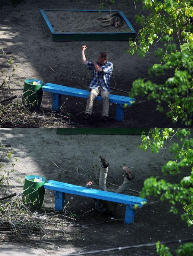 Morning Picdump