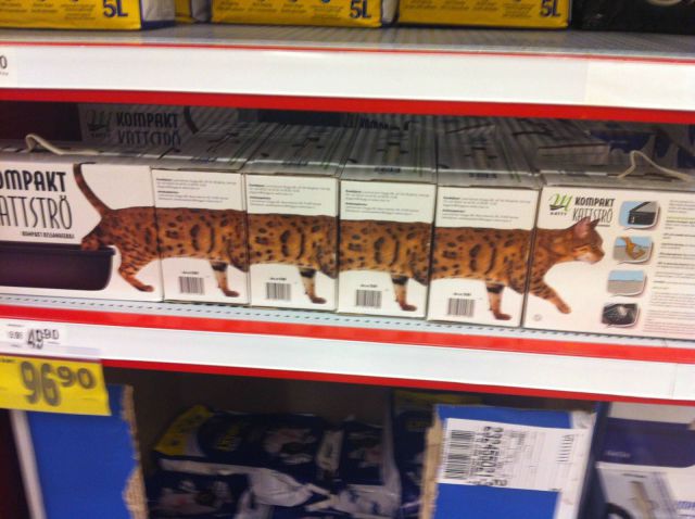 Morning Picdump