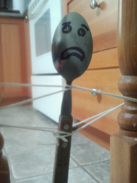 Morning Picdump