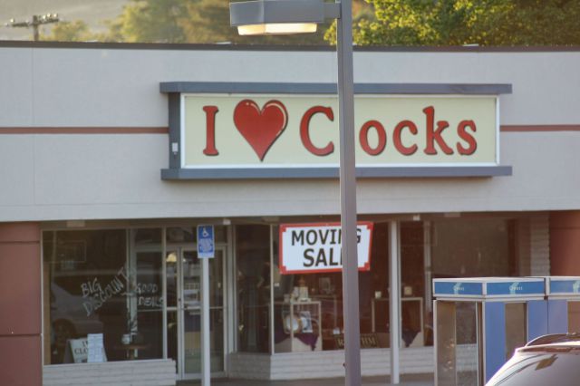 Morning Picdump