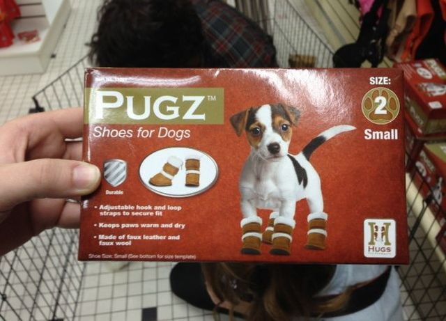 Morning Picdump