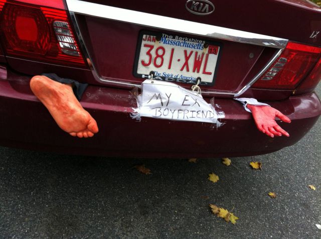 Morning Picdump