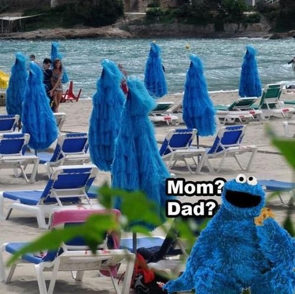 Morning Picdump
