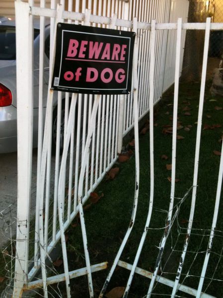 Daily Picdump