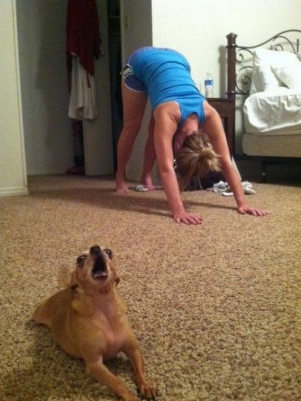 Daily Picdump